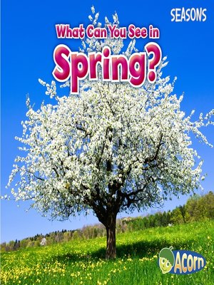 cover image of What Can You See in Spring?